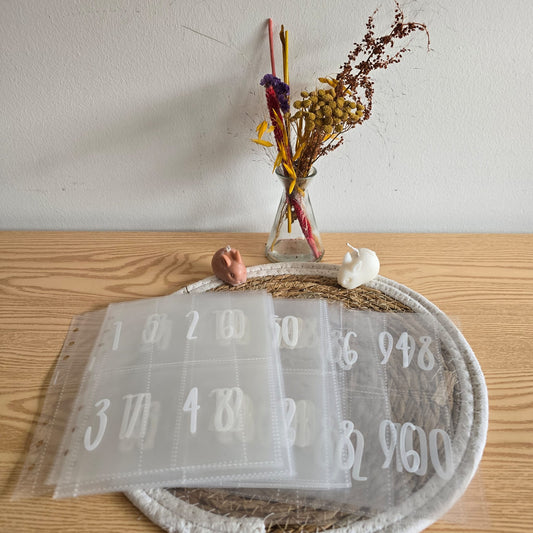 100 enveloppen insteekmapjes