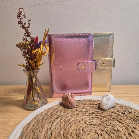 Metallic Binder A6 Budget clipsluiting